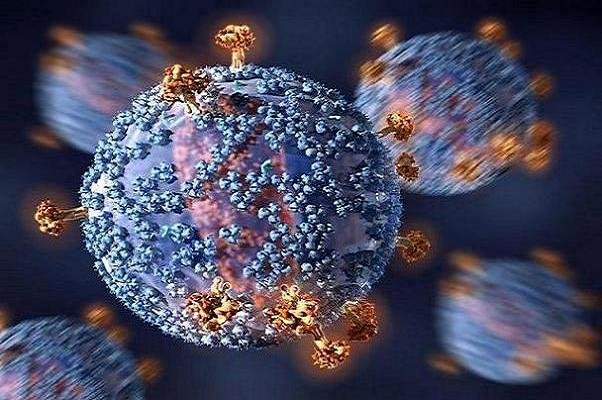 یافته محققان دانشگاه واشنگتن: کاهش تدریجی آنتی بادی بدن بعد از شروع علائم ویروس کرونا