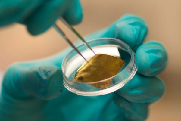تولید نانوذرات طلا با خلوص بالا و کاربرد در بخش بهداشت