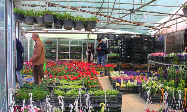 شهردار منطقه ۱۴ خبر داد: بازار گل محلاتی منتقل می شود
