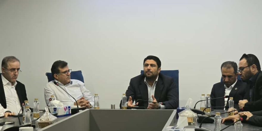 13950617102023958589124