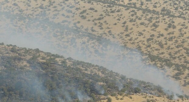 فرمانده انتظامی شهرستان چرداول:  ۱۰ هکتار از مراتع طبیعی چرداول در آتش سوخت