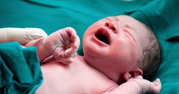 معاون درمان دانشگاه علوم پزشکی ایران: تغذیه نوزادان بستری در بخش های ویژه با شیر مادر