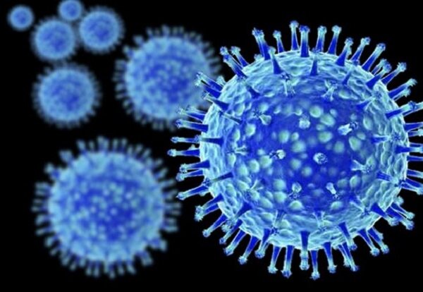 ویروس آنفلوانزا توان دفاعی بدن را از بین می برد