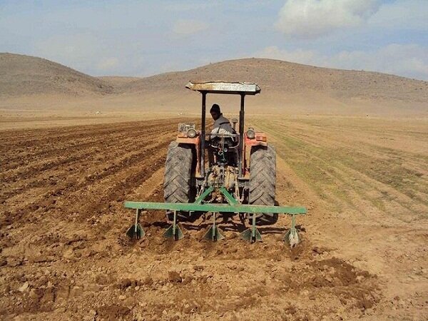 قائم‌مقام وزیر جهاد کشاورزی عنوان کرد: دو عامل کلیدی در شاخص بذر گواهی‌شده گندم در ایران