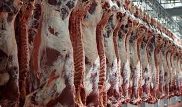 تولید گوشت قرمز در شهریورماه ۷.۸ درصد افزایش یافت
