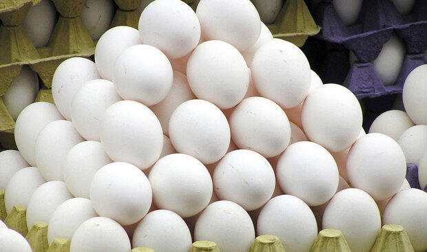 برای مصرف کنندگان؛ حداکثر قیمت هر کیلوگرم تخم مرغ فله ۱۴ هزار و ۵۰۰ تومان اعلام شد