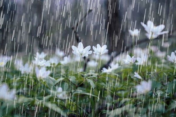 پیش‌بینی کاهش میزان بارش‌های کشور برای هفته آخر خرداد