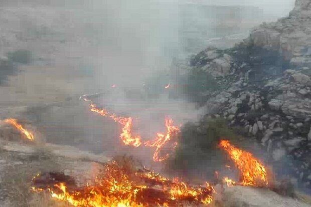 آتش‌سوزی در ارتفاعات دشتستان مهار شد