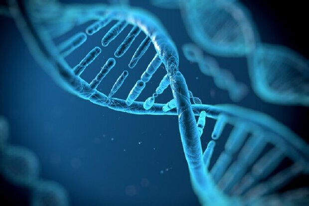 سلول‌های نوترکیب «ایران‌ساخت» به کمک صنعت ژنتیک آمد