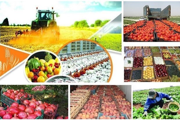 رعایت استانداردهای اروپا برای صادرات محصولات کشاورزی ضروری است