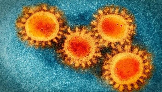 یافته جدید محققان: احتمال انتقال ویروس کووید ۱۹ از طریق شیرمادر وجود ندارد