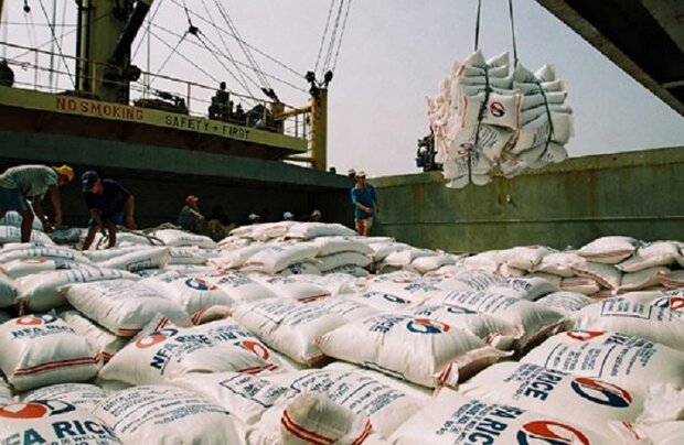 بانک مرکزی اعلام کرد: مشکل برنج‌های رسوبی، ترخیص درصدی کالا خارج از روال است