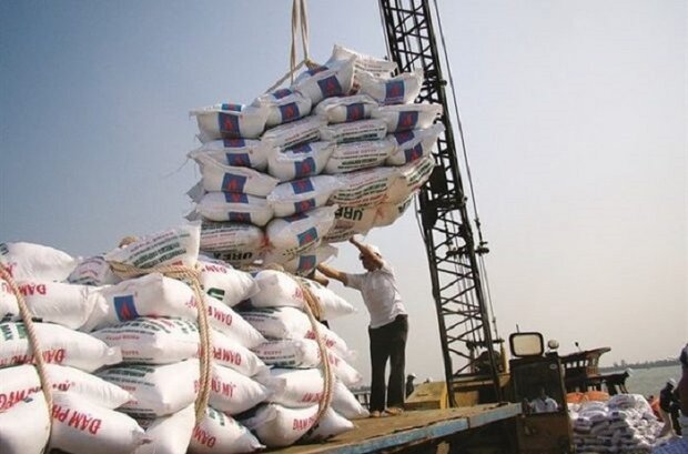 معاون فنی و امورگمرکی گمرک خبر داد: ترخیص ۴۹۷ هزار تن برنج وارداتی از گمرکات کشور