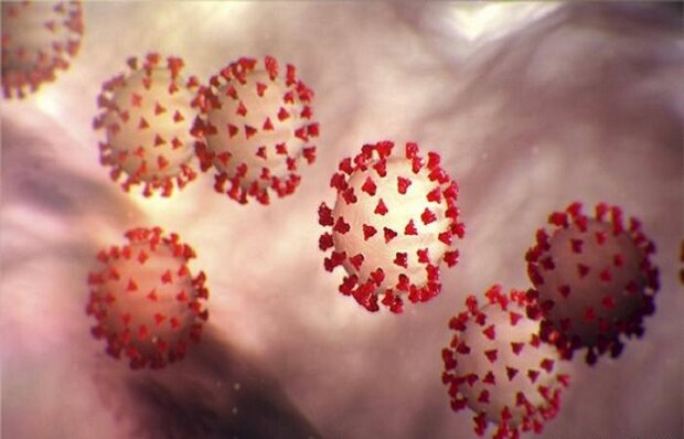 محققان چینی دریافتند: کلسترول خوب موجب تسهیل ورود کروناویروس به سلول می شود
