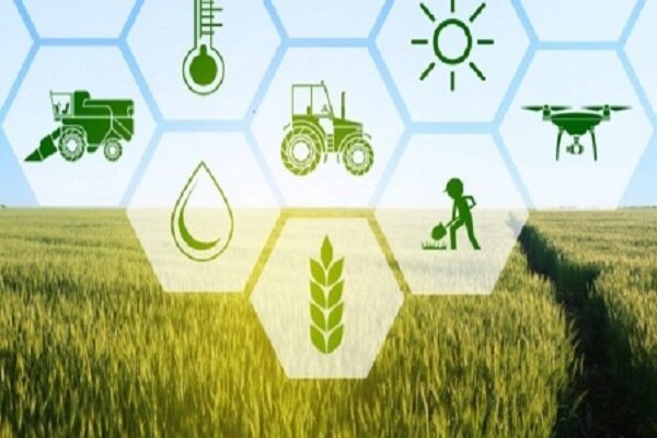 صندوق بیمه کشاورزی پرداخت غرامت‌ها را هفتگی کرد