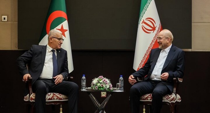 قالیباف در دیدار رییس مجلس الجزایر: کشورهای اسلامی از ظرفیت‌های خود برای حمایت از فلسطین استفاده کنند