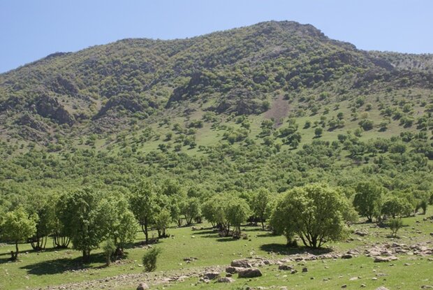 تشدید اقدامات حفاظت از منابع طبیعی کشور