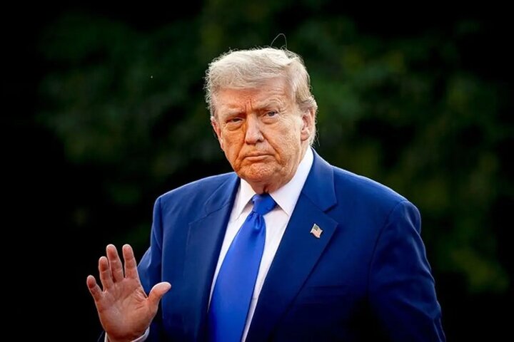 13950617102023958589124